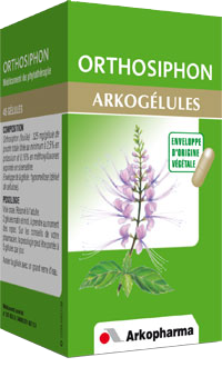 Image ORTHOSIPHON 325MG ARKOGELULES 45